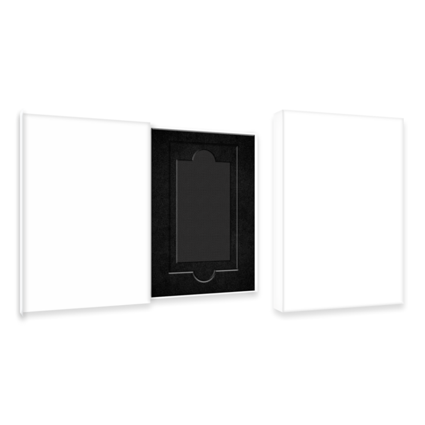 Blank Repack Box